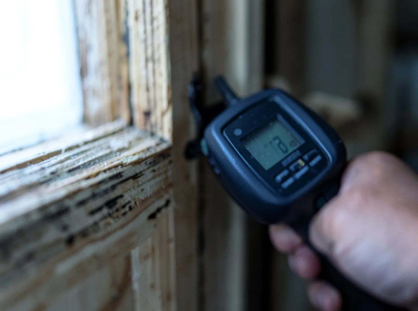 Moisture Inspection And Documentation in Harrington, WA